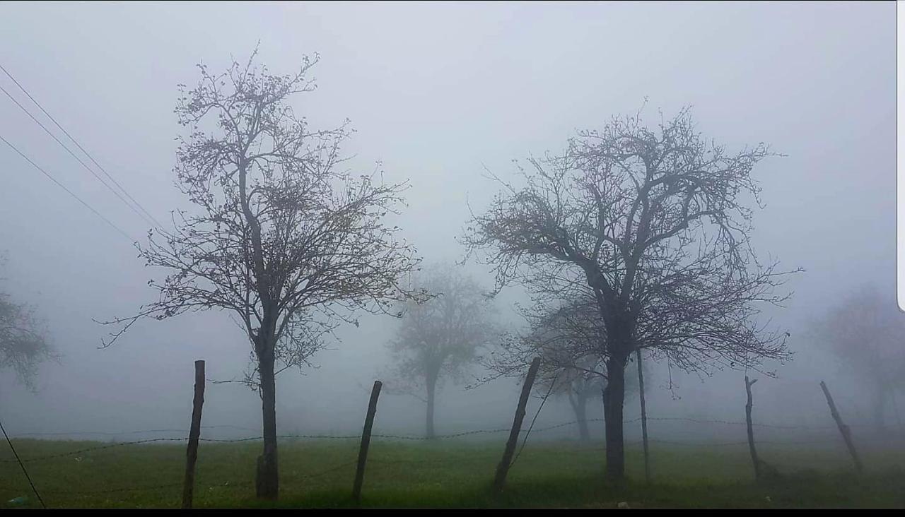 Salora Kodai Кодайканал Экстерьер фото