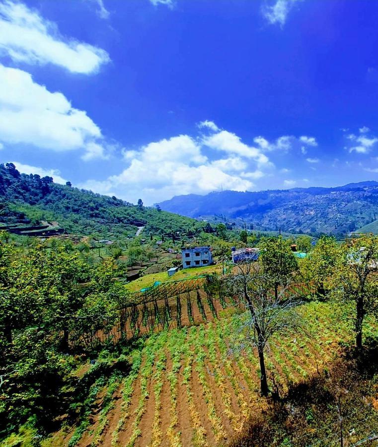 Salora Kodai Кодайканал Экстерьер фото